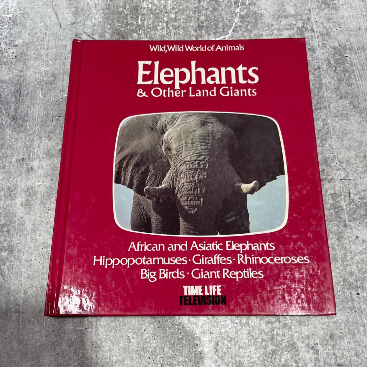 wild world of animals book, by Kaye Wild, 1975 Hardcover image 1