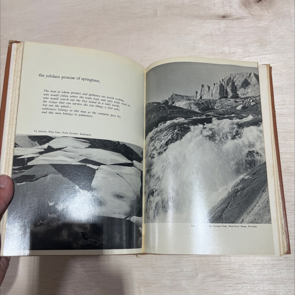 wilderness america's living heritage book, by david brower, 1961 Hardcover image 4