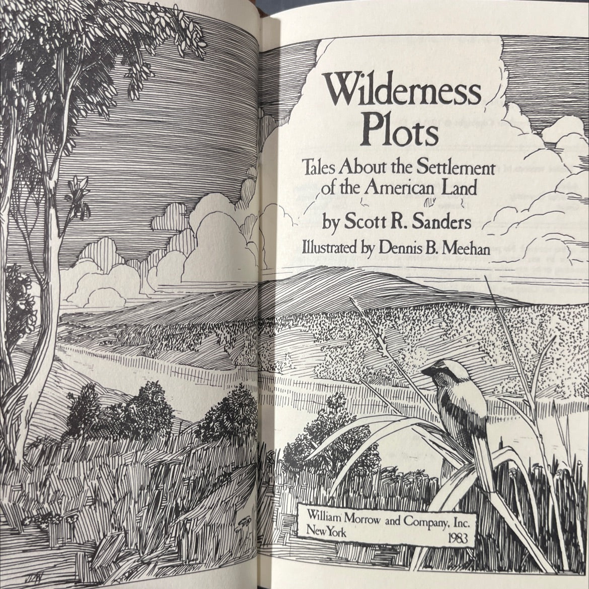 wilderness plots tales about the settlement of the american land l ally 2 book, by Scott R. Sanders, 1983 Hardcover image 2