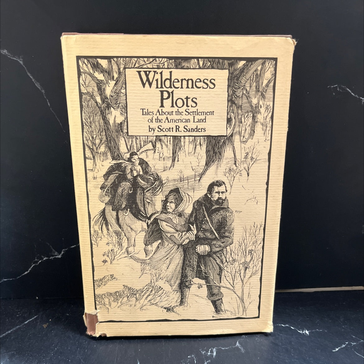 wilderness plots tales about the settlement of the american land l ally 2 book, by Scott R. Sanders, 1983 Hardcover image 1