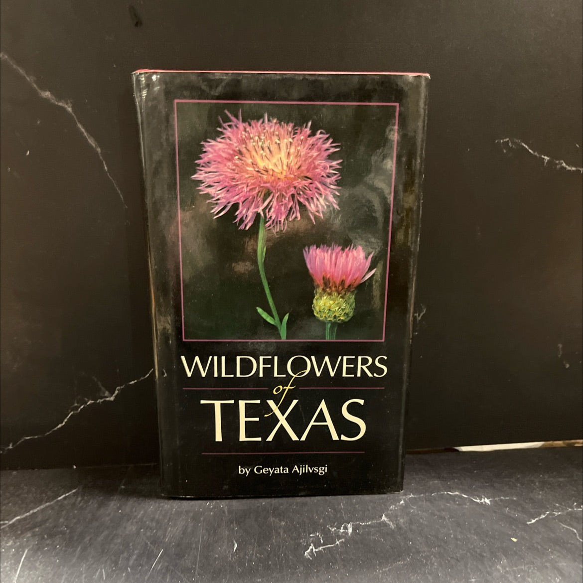 wildflowers of texas book, by Geyata Ajilvsgi, 1985 Hardcover image 1