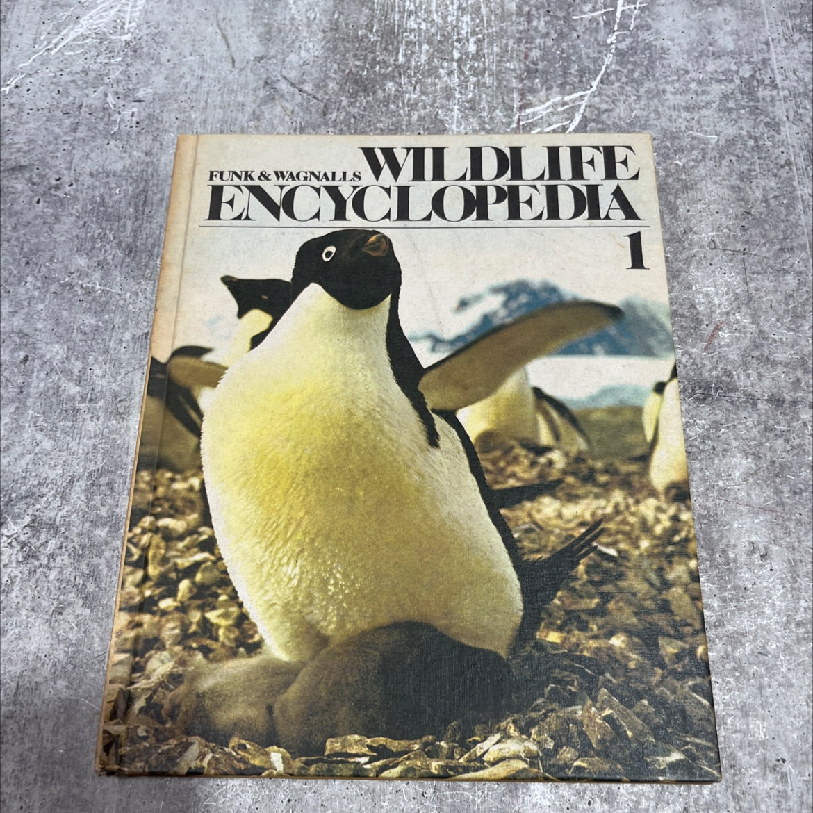 wildlife encyclopedia book, by Dr. Maurice Burton and Robert Burton, 1974 Hardcover image 1