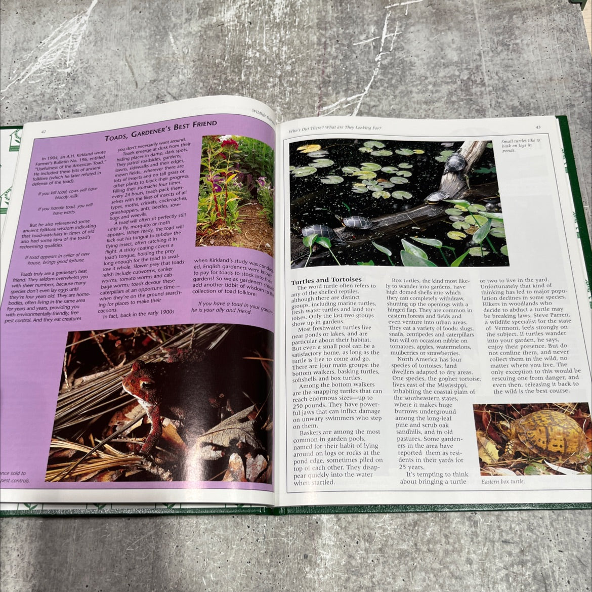 wildlife gardens book, by Katharine Anderson with Tom Carpenter, Justin Hancock, and Anne Price, 1998 Hardcover image 4