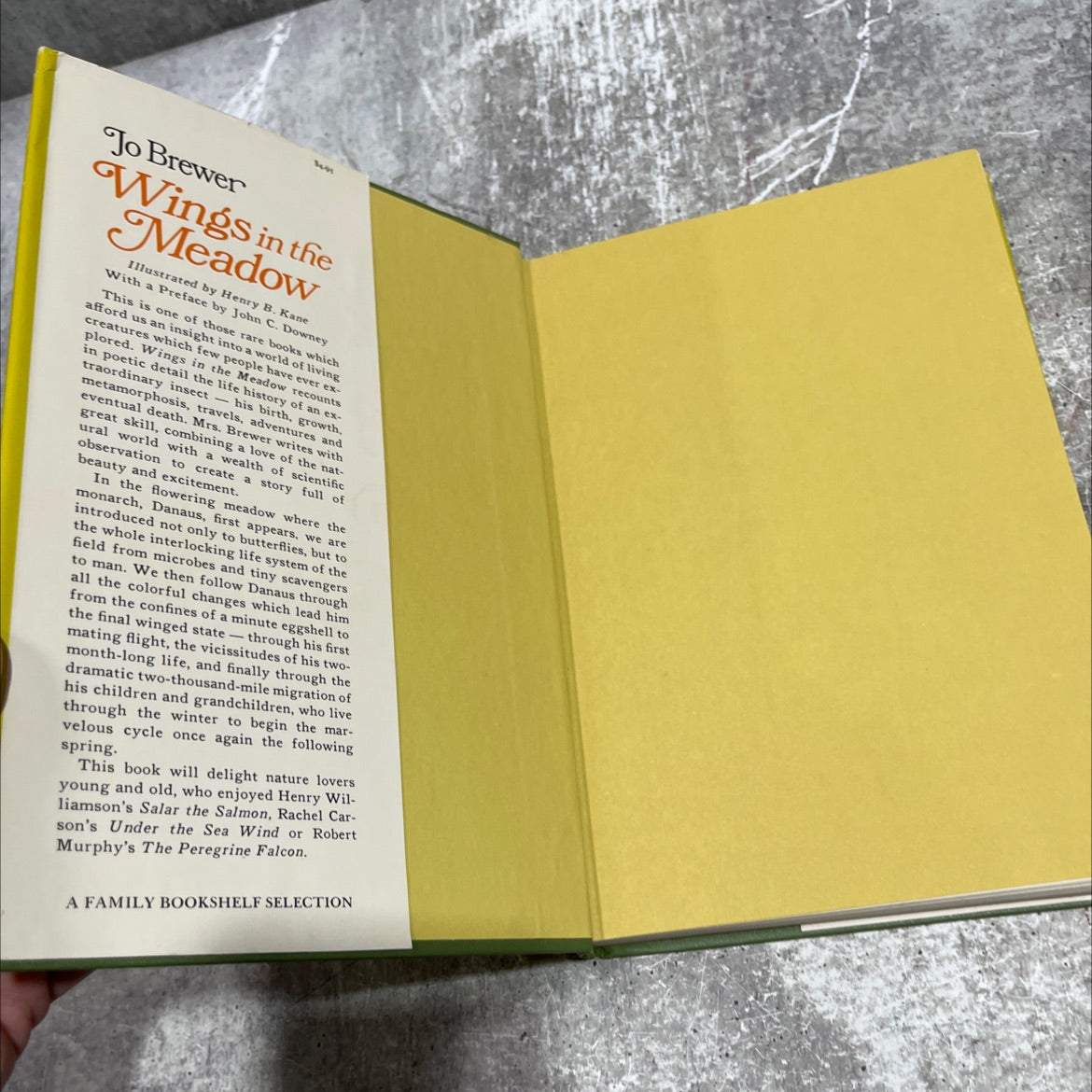 wings in the meadow book, by jo brewer, 1967 Hardcover image 4