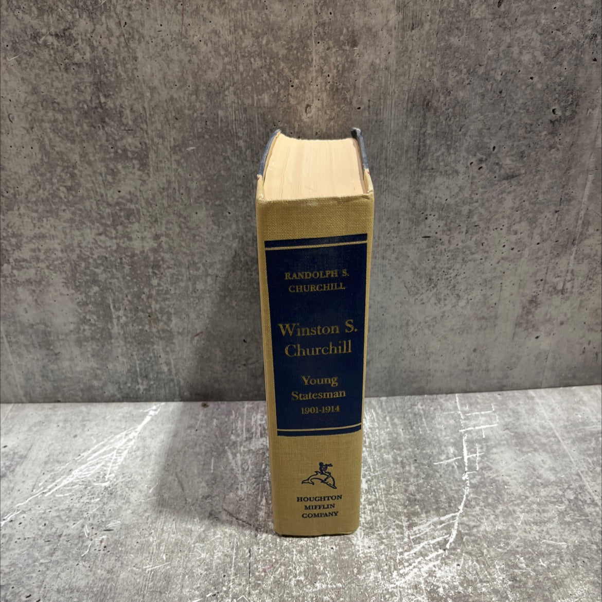 winston s. churchill volume ii • 1901-1914 young statesman book, by randolph s. churchill, 2008 Hardcover image 4