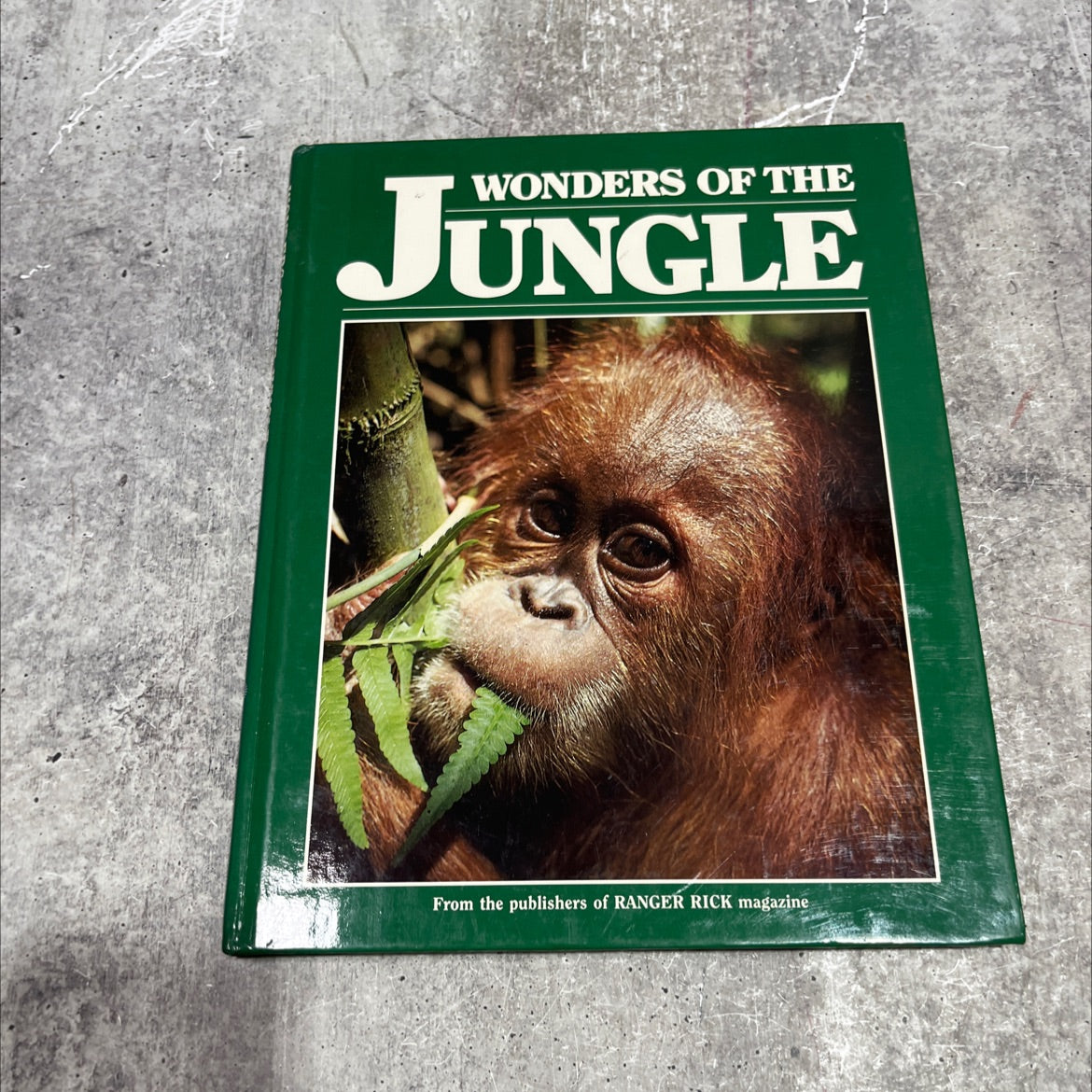 wonders of the jungle book, by national wildlife federation, 1986 Hardcover image 1