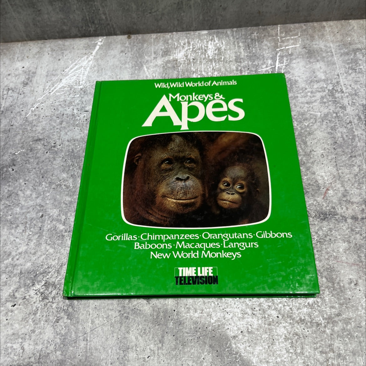york wild, wild world of animals conte monkeys & apes book, by unknown, 1976 Hardcover image 1