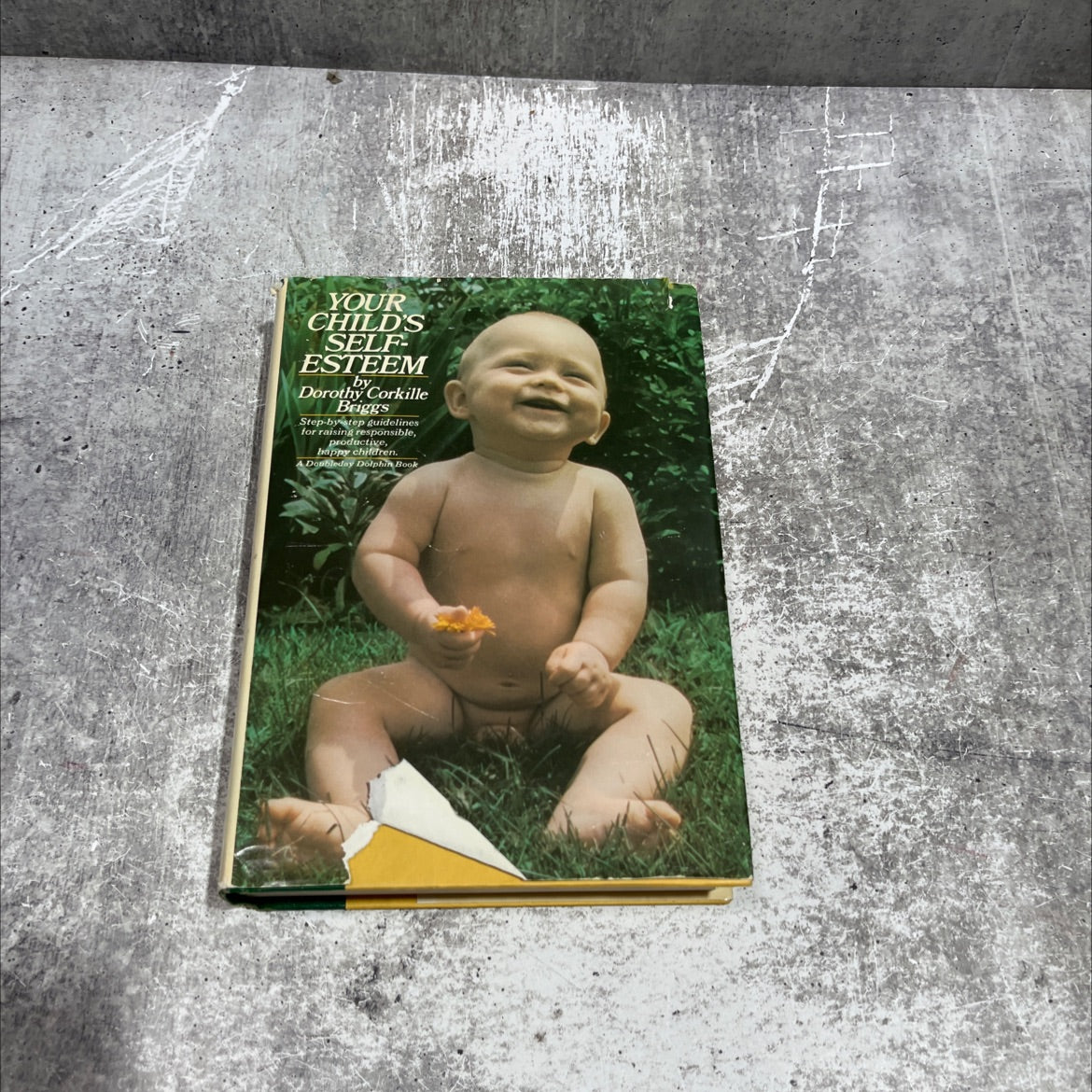 your child's self-esteem: the key to his life book, by dorothy corkille briggs, 1970 Hardcover image 1