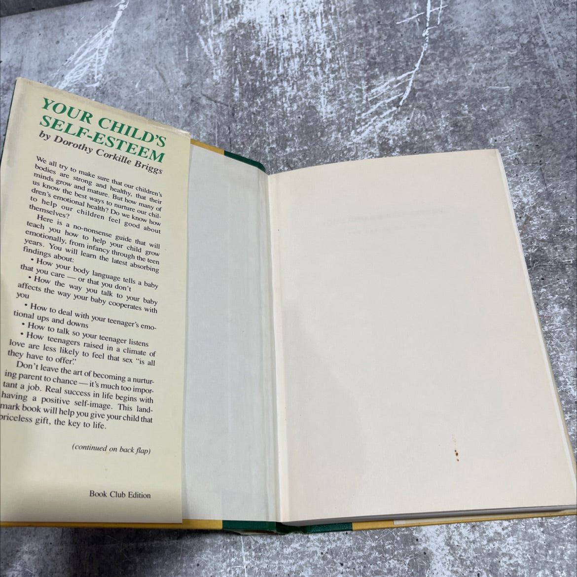 your child's self-esteem: the key to his life book, by dorothy corkille briggs, 1970 Hardcover image 4