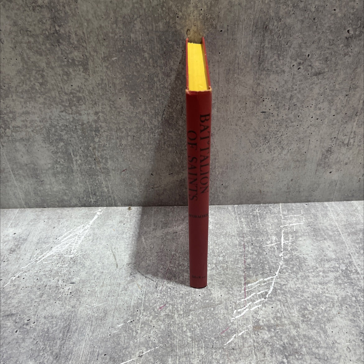 zima moliatta battalion of saints book, by richard wormsser, 1961 Hardcover image 4